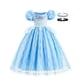 thumbnail image 1 of Ropa de Disney para niñas, vestidos de fiesta de Cenicienta, vestido de baile de princesa, disfraz de Cosplay, vestido de encaje, vestido tutú elegante para niños 2T (etiqueta 100) Gao Jinjia LED, 1 of 2