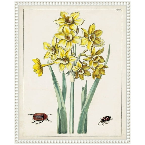 Amanti Art Dutch Florals III Framed Canvas Wall Art Print