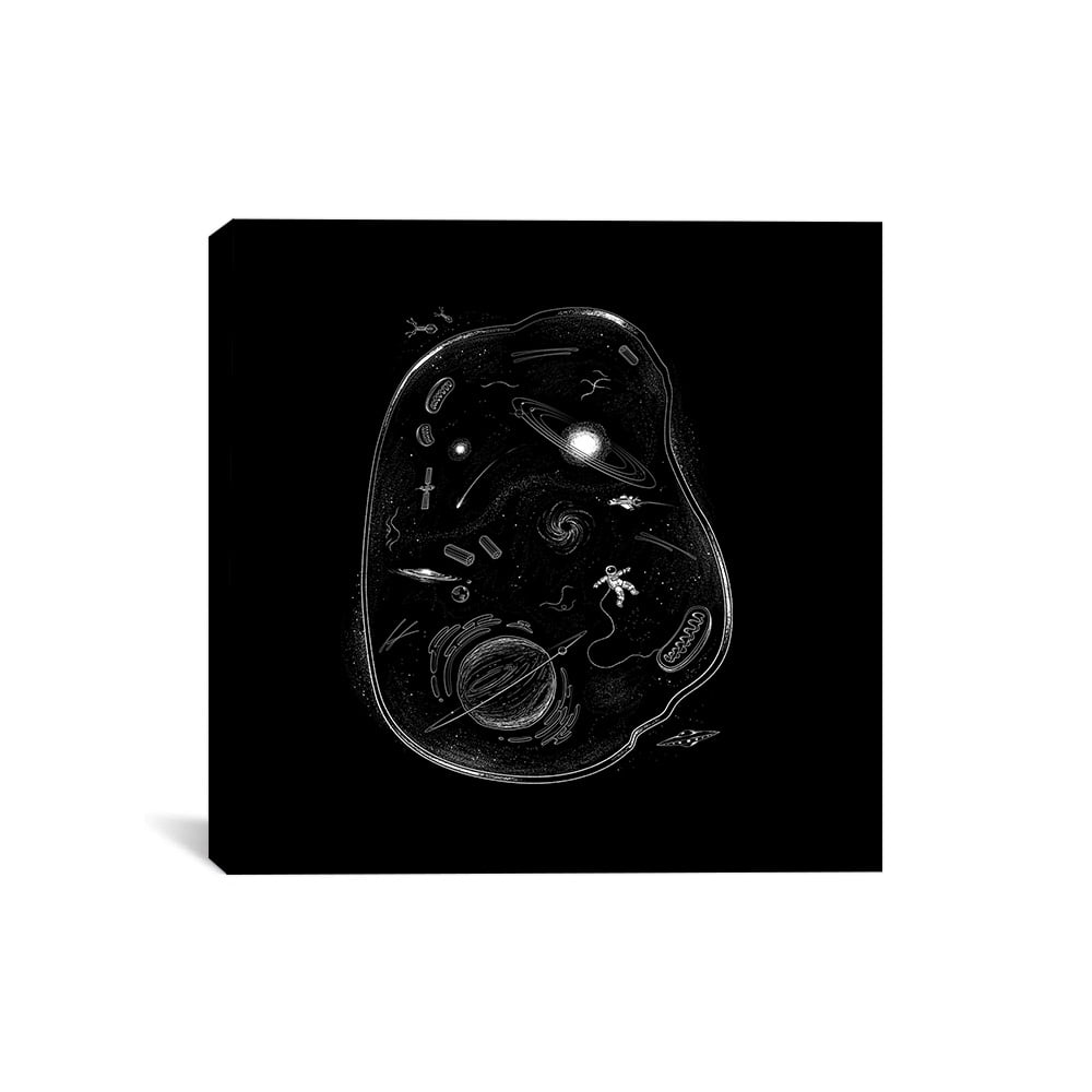 Bright And Happy Rectangle frame 12