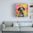 thumbnail image 2 of Canvas Wall Art - Ivan Guaderrama 'Spotted Charm' Wall Art for Living Room, Bedroom, or Office DÃ©cor by Trademark Fine Art - 35 x 35 Inches, 2 of 4