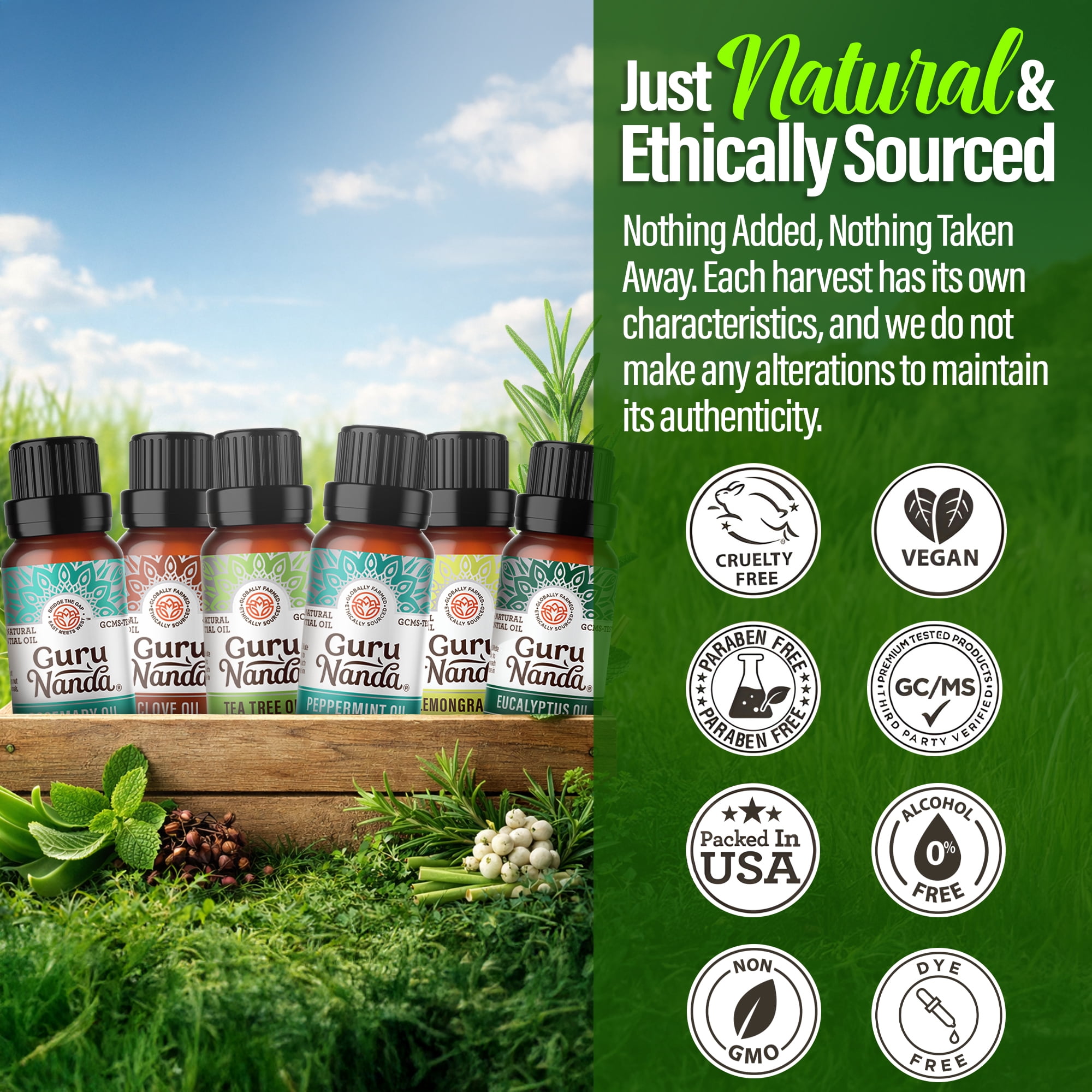 GuruNanda Herbaceous Essential Oils Collection,  Peppermint, Tea Tree, Eucalyptus, Lemongrass, Rosemary, Clove - 10 ml for Health and Wellness