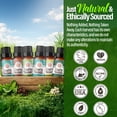 thumbnail image 6 of GuruNanda Herbaceous Essential Oils Collection,  Peppermint, Tea Tree, Eucalyptus, Lemongrass, Rosemary, Clove - 10 ml for Health and Wellness, 6 of 7