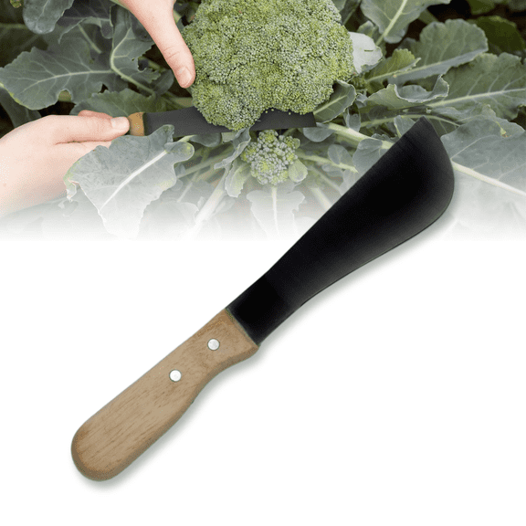 Broccoli Knife with Carbon Steel Blade and Wood Handle - For Gardening Harvesting