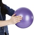 thumbnail image 3 of 2Pcs Yoga Ball Physical Fitness Ball Fitness Machine Exercise Balance Pilates 25cm, 3 of 5