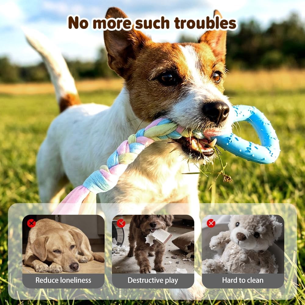 24 Pack Dog Chew Toys, Variety Rubber Fabric Shapes Teeth Cleaning Boredom Relief Training Play for Puppy Teething Small Dogs