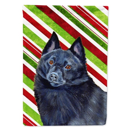 Carolines Treasures LH9249-FLAG-PARENT Schipperke Candy Cane Holiday Christmas Flag multicolor