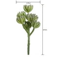 thumbnail image 2 of Mainstays Green Rose Artificial Succulent Pick, 2.75" x 6.75", 2 of 5
