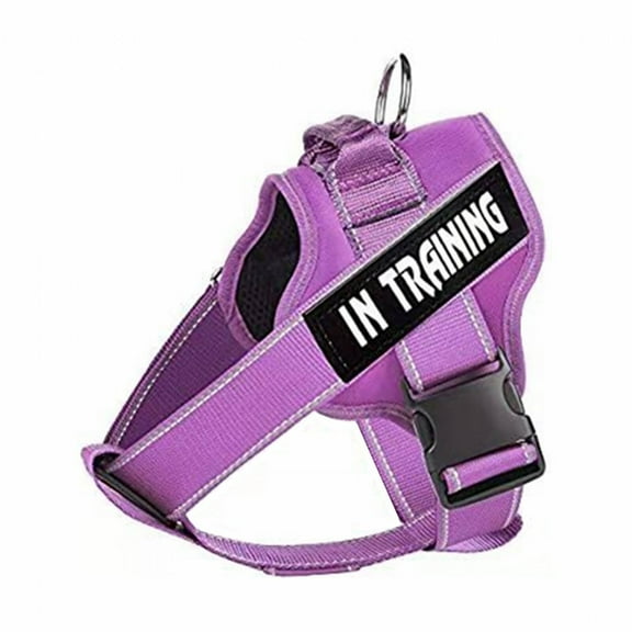 BESTSKY Dog Lead,High-Quality Nylon Material Dog Harness,Adjustable Design Dog Leash,Purple,S