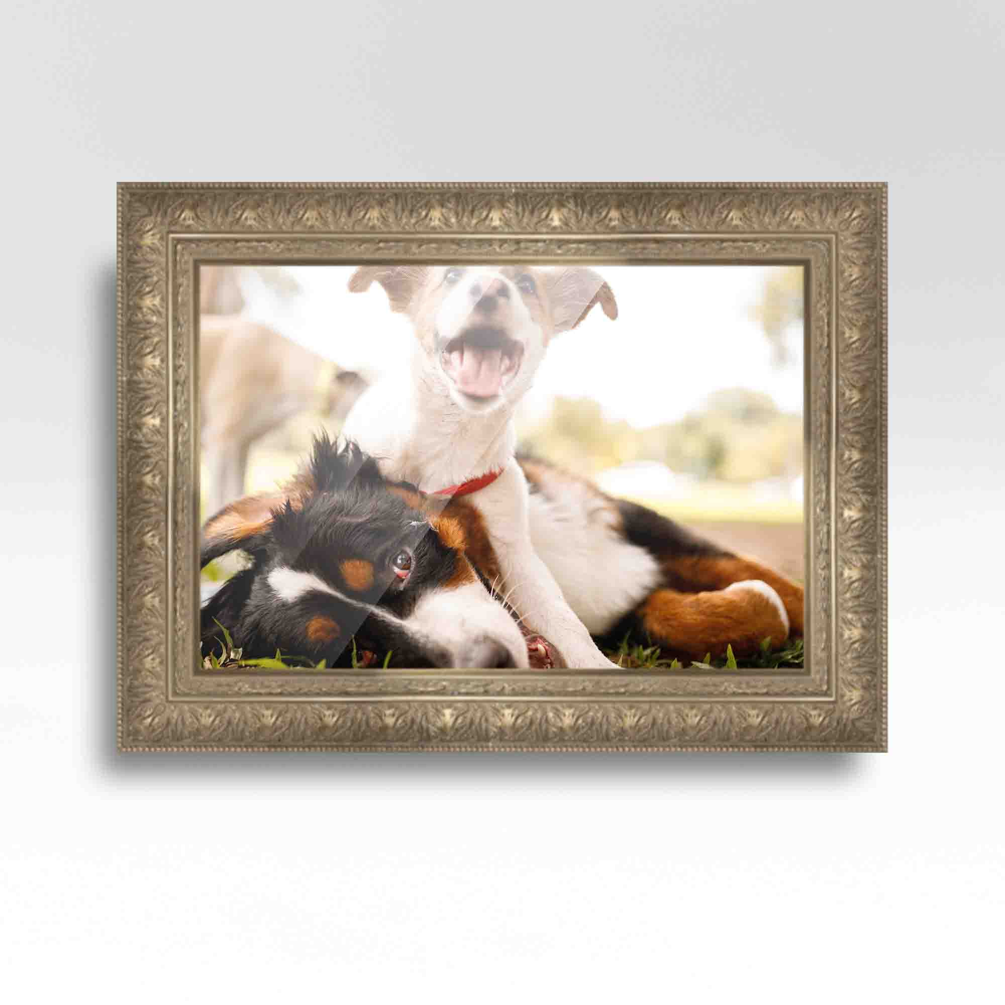 18x24 Frame Ornate Silver Beaded Solid Wood Picture Frame Width 2.5 Inches | Interior Depth 1