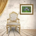 thumbnail image 3 of Jaynes Gallery 14x11 Gold Ornate Wood Framed with Double Matting Museum Art Print Titled - Canada-Manitoba-Whiteshell Provincial Park Blue flag iris in field, 3 of 4