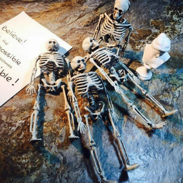 Educational Toys for 5 Year Old Boys Halloween Movable Skeleton Human Model  Skull Full Body Mini Figure Toy plastic