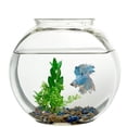 thumbnail image 3 of Fish Bowl Koller Products, plástico irrompible, 4 litros, 3 of 4