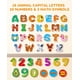 thumbnail image 2 of Letras y números magnéticos del alfabeto JoyCat para niños pequeños, 2 of 6