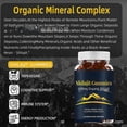 thumbnail image 3 of Gomitas de Shilajit, 600 mg de Shilajit orgánico, Gomitas de resina de Shilajit, Suplemento de Shilajit Gomitas de Shilajit Himalayan Organic, 3 of 3
