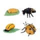 thumbnail image 2 of Figuras de ciclo de vida de animales, figuras de acción de vida educativas, figuras de jardín DIY, materiales de enseñanza para niños de 3, 4, 5, 6 y, 2 of 10