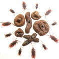 thumbnail image 4 of Advancent 24 paquetes/lote caca falsa divertida e interesante para los festivales de April Fool simulación de caca falsa regalo divertido Kits de decoración para fiestas, 4 of 6