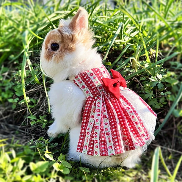 BRKURLEG Cute Bunny Rabbit Dress Clothes, Floral Small Animal Costume with  Bowknot for Squirrel Mini Dog Chinchilla Ferret Hedgehog Guinea Pig, Small  Pet Apparel Outfits for Party Daily Wear - Walmart Business