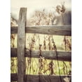 thumbnail image 2 of Goodkind, Kristi 19x24 White Modern Wood Framed Museum Art Print Titled - Sunrise Fence I, 2 of 4