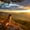 Dog Watching Sunrise, variant on Elephant Stock Dog Watching Sunrise Wall Art - Horizontal Multi Panel Canvas - Living Room Wall Decor - Animal Multi Panel - Gray And Beige Decor - 24" x 14"