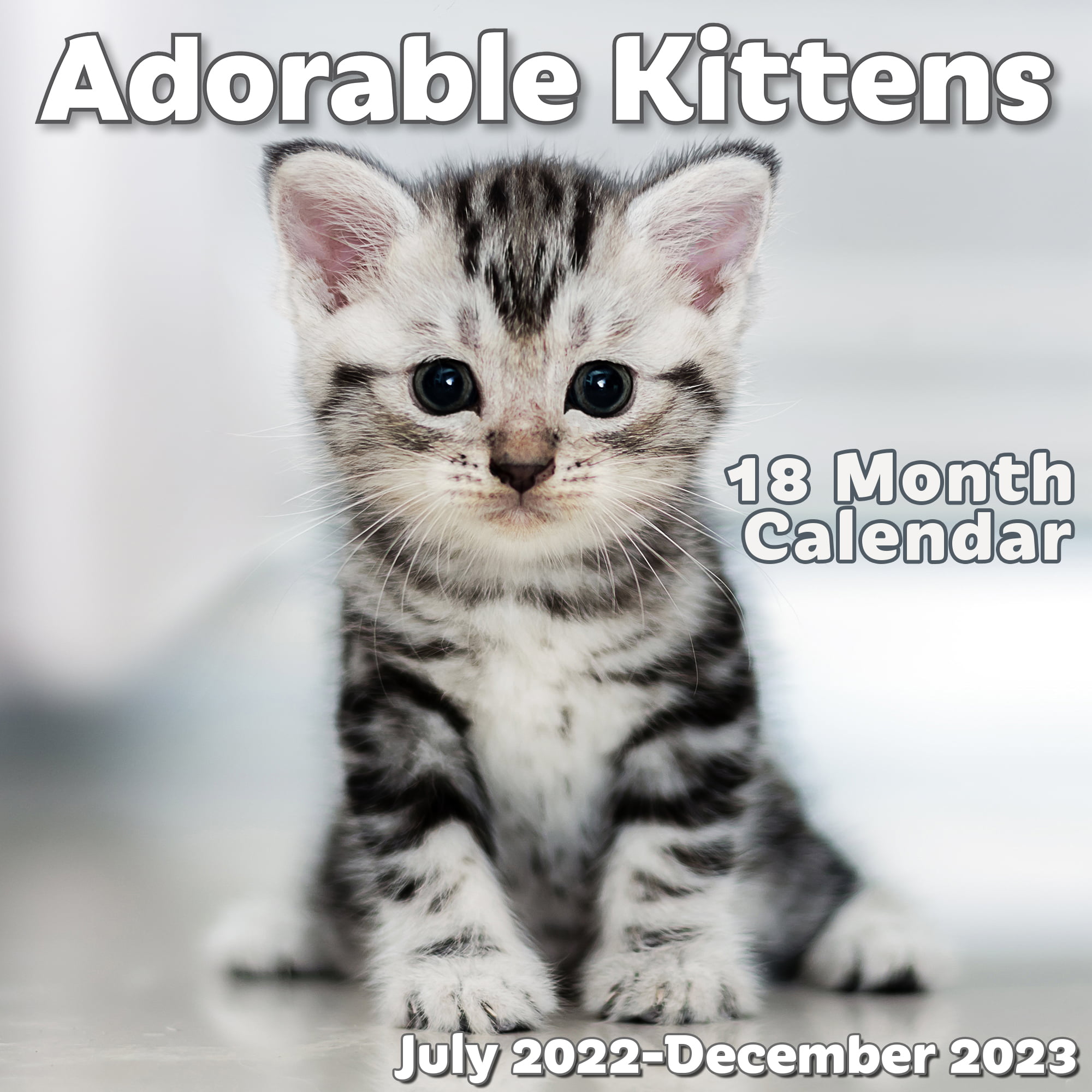 2021 Wall Calendars Kittens 11" x 12" & Mini Cats Two Pack! 