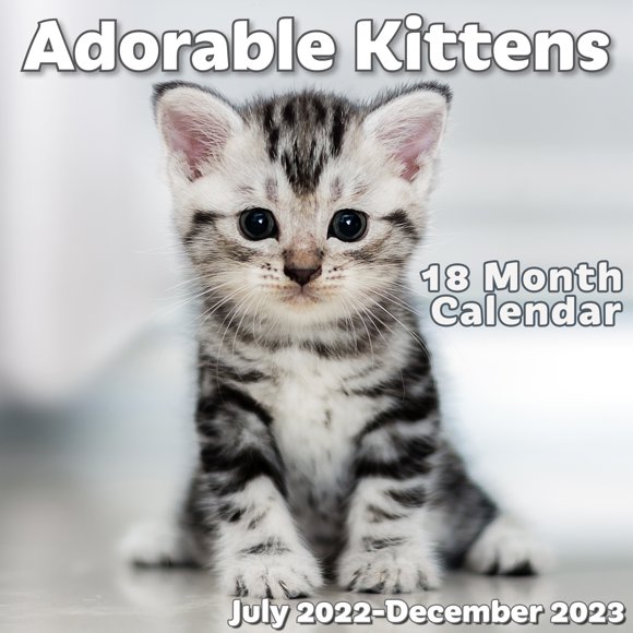 Street Cat Bob Calendar 2023 Ejpnpqyksfxy_M