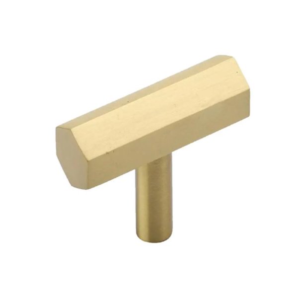 Brizza Series 2 in. (50 mm) Gold Brushed Solid Brass Hexagonal TBar