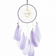 Allow Comtment Language Habits Dream Catcher Wall Hanging Feather Decor
