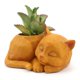 thumbnail image 5 of de Plantas Suculentas de Resina, de Gato de Escritorio, Contenedor de Jarrón, 5 of 9