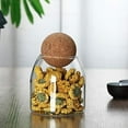 thumbnail image 4 of Glass Jar with Wood Lid Ball Jar Small Food Storage Container Clear Candy Jars Canister Sugar Coffee Tea Beans Spice Salt Storage 2 PSC 500 ML, 4 of 9