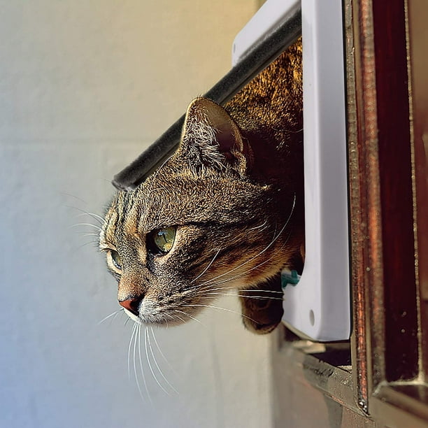 Exterior door with cat flap hot sale