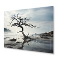 thumbnail image 2 of Designart "Beach Tree silence II" Nautical & Beach Metal Wall Decor, 2 of 5