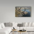 thumbnail image 3 of Trademark Fine Art 'Canadian Pair' Canvas Art by Jeff Tift, 3 of 3