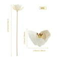 thumbnail image 4 of SHISUYAN 5pcs Aromatherapy Rattan Sticks Aromatherapy Accessories Flower Rattans, 4 of 8