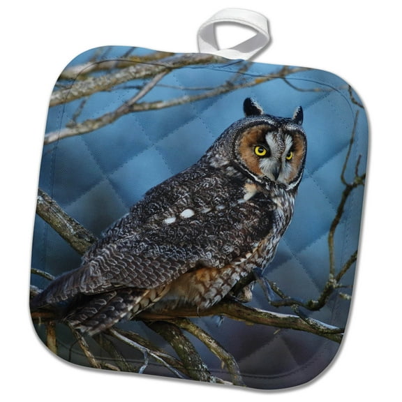 3dRose, Long-eared Owl at Dusk, 8x8 Potholder