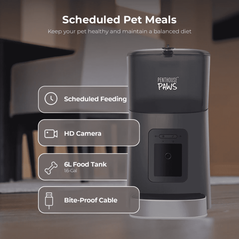 Penthouse Paws Smart HD Pet Feeder, 6L Dry Food Capacity, 1080p Camera, 2-Way Audio, Scheduled Meals,  Backup Power, Easy to clean, Anti-Jam Design for Cat & Dog, Black/ Stainless Steel