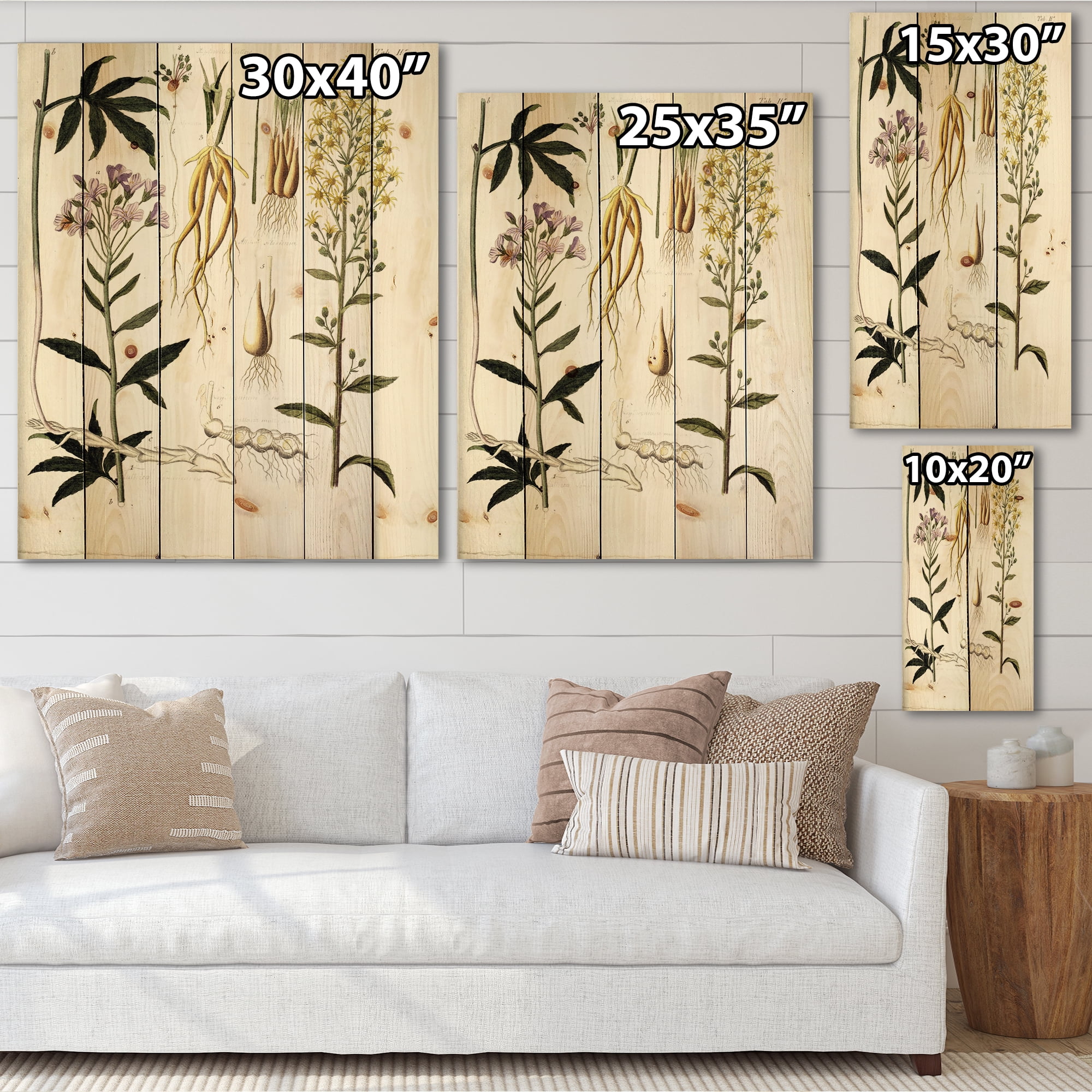 Designart 'Ancient Plant Life VIII' Farmhouse Print on Natural Pine Wood