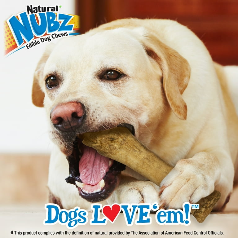 Should Dogs Eat Nylabones