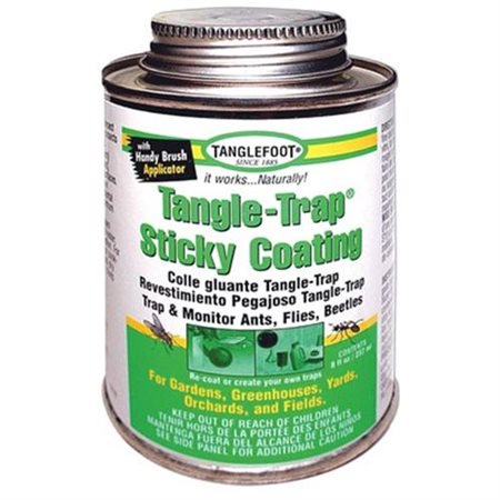 Tanglefoot 300000588 8 Oz Tangle Trap Brush On Sticky Trap Coating Walmart Com Walmart Com
