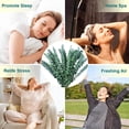 thumbnail image 6 of Dried Eucalyptus Plant,20pcs Durable Greenery Leaves for Vase Filler,Shower Hanging Plant,HYG Eucalyptu Plants for Farmhouse,Room Decor, 6 of 6