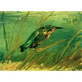 thumbnail image 2 of Van Gogh, Vincent 14x11 Gold Ornate Wood Framed with Double Matting Museum Art Print Titled - Kingfisher, 2 of 4