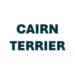 Cairn Terrier Pill Butter