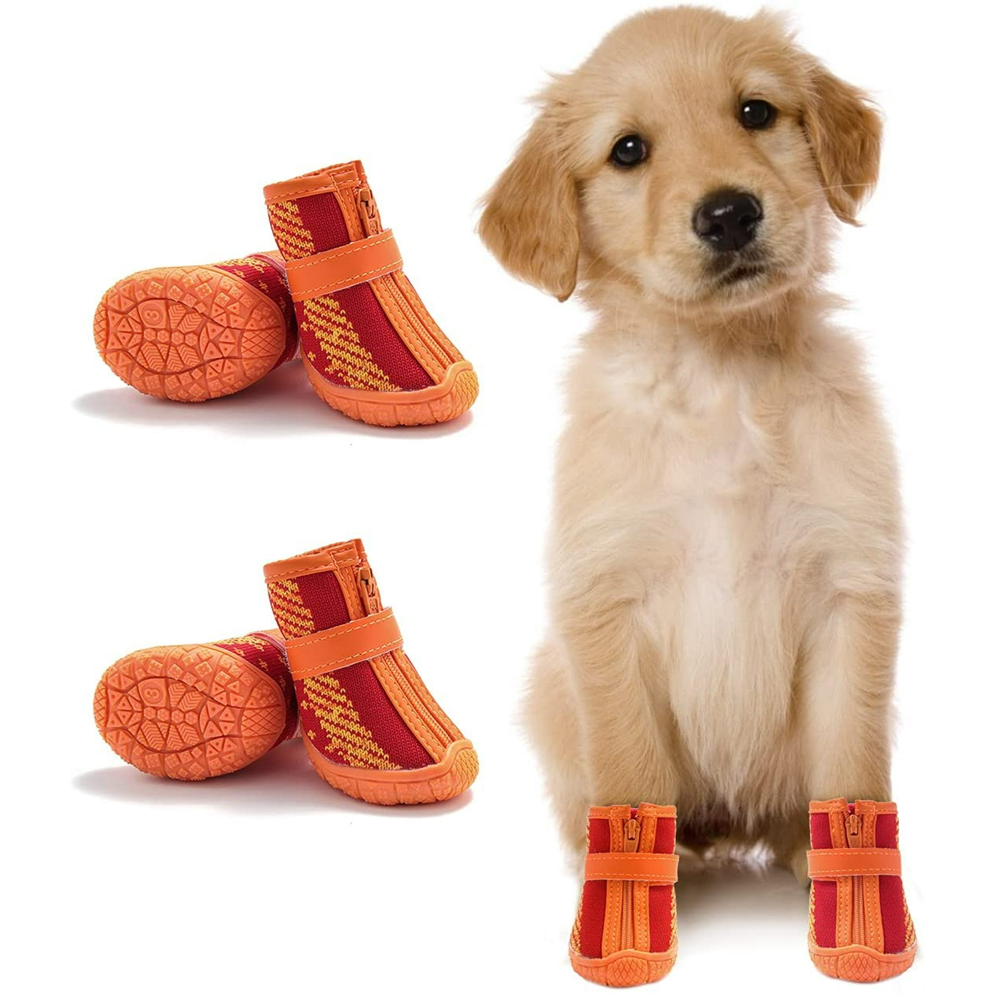 Does My Dog Need Hiking Boots