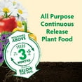 thumbnail image 4 of Scotts Miracle Gro 110570 Shake 'N Feed All-Purpose Plant Food, 8-Lb. Refill Bag, 4 of 12