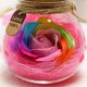 thumbnail image 4 of Botella de deseos Control remoto Flor rosa Luz de noche LED Bombilla romántica Lámpara de atenuación RGB Regalo de cumpleaños del día de San Valentín Advancent JJ17958-03B, 4 of 7