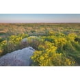 thumbnail image 2 of Majchrowicz, Alan 32x23 White Modern Wood Framed Museum Art Print Titled - Touch the Sky Prairie southwest-Minnesota, 2 of 4