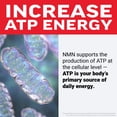 thumbnail image 6 of Force Factor NMN Longevity Capsules, 500mg NMN Extra Strength, Precursor to Boost NAD+ Levels for Cellular Energy, Metabolism & Healthy Aging Support, 60 Capsules, 6 of 13