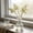 🔥 Clear B_New, variant on Sentmoon Clear Glass Bud Vase Small Decorative Flower Vase Minimalist Tabletop Vase for Home Living Room Bedroom Office Centerpiece Transparent Floral Arrangement Accent Decor