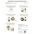 thumbnail image 6 of Nearly Natural 3' Artificial Fiddle Leaf Fig Tree DIY Kit, 6 of 10