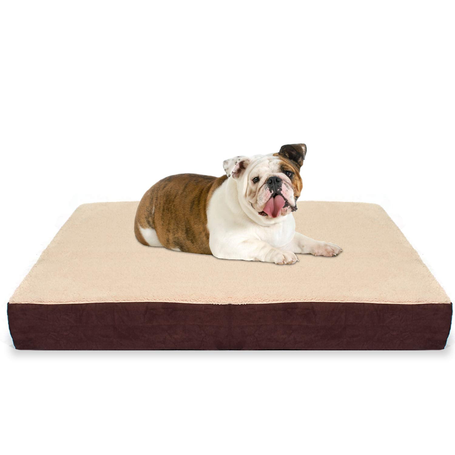 kopeks dog bed