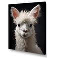 thumbnail image 2 of Designart "Alpaca Fiber Elegance" Animals Canvas Print, 2 of 5